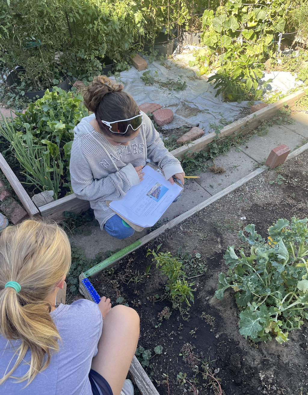 Student math journal documenting area measurements of garden beds