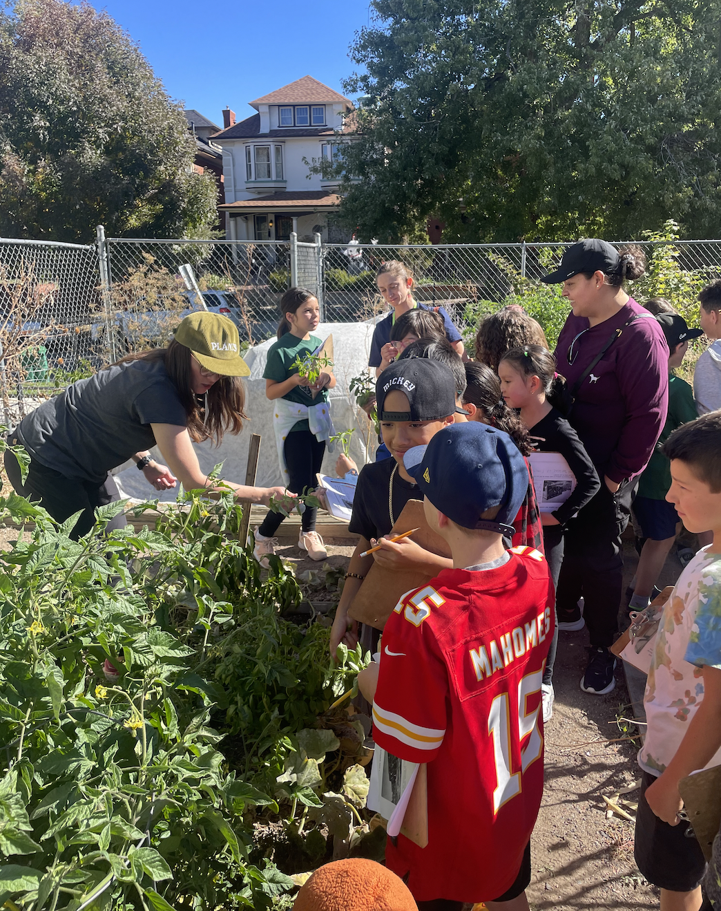 Third-grade students exploring mathematical area patterns during community garden fieldwork