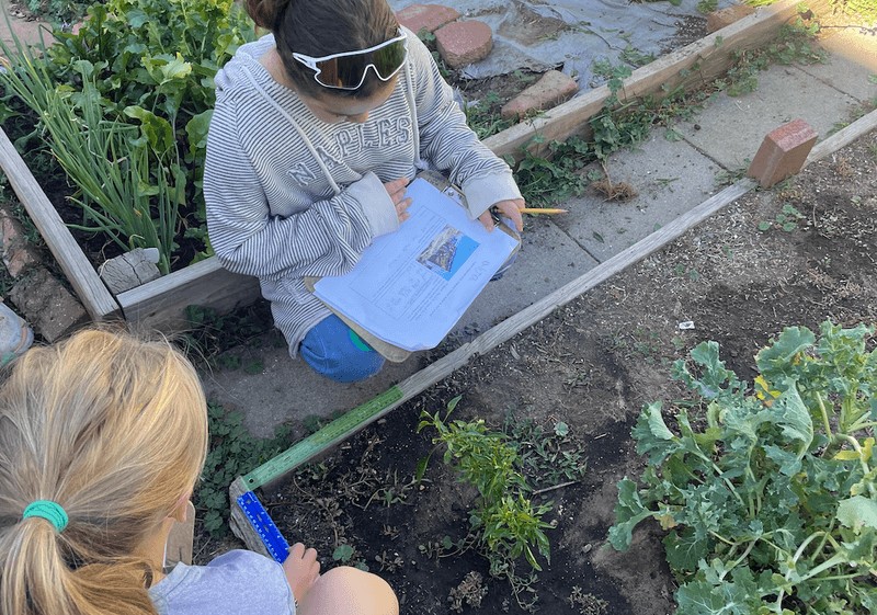Children exploring mathematical play in nature and daily life
